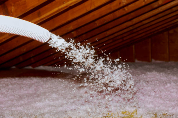 Best Attic Insulation Installation  in Taylors, SC