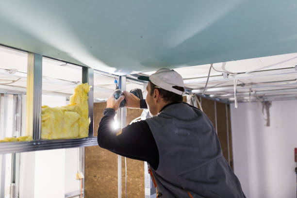 Best Affordable Insulation Services  in Taylors, SC