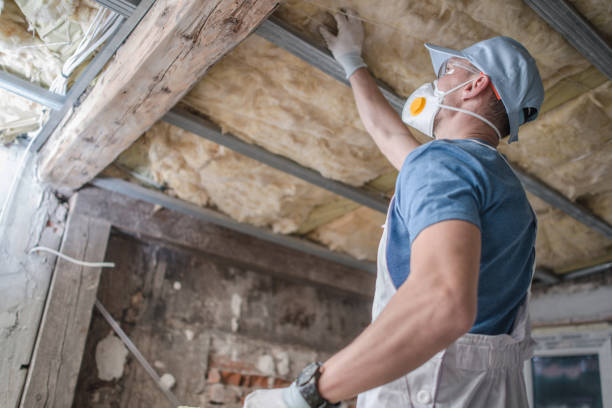 Best Soundproof Insulation Installation  in Taylors, SC