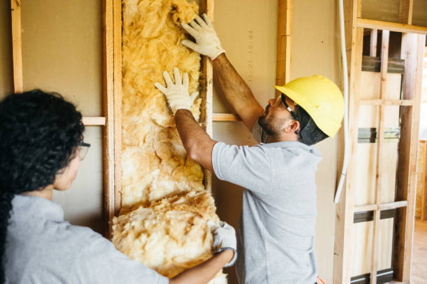 Attic Insulation Near Me in Taylors, SC