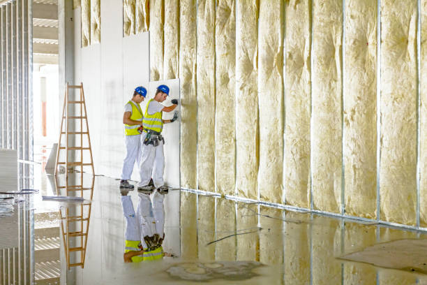 Insulation Replacement Services in Taylors, SC